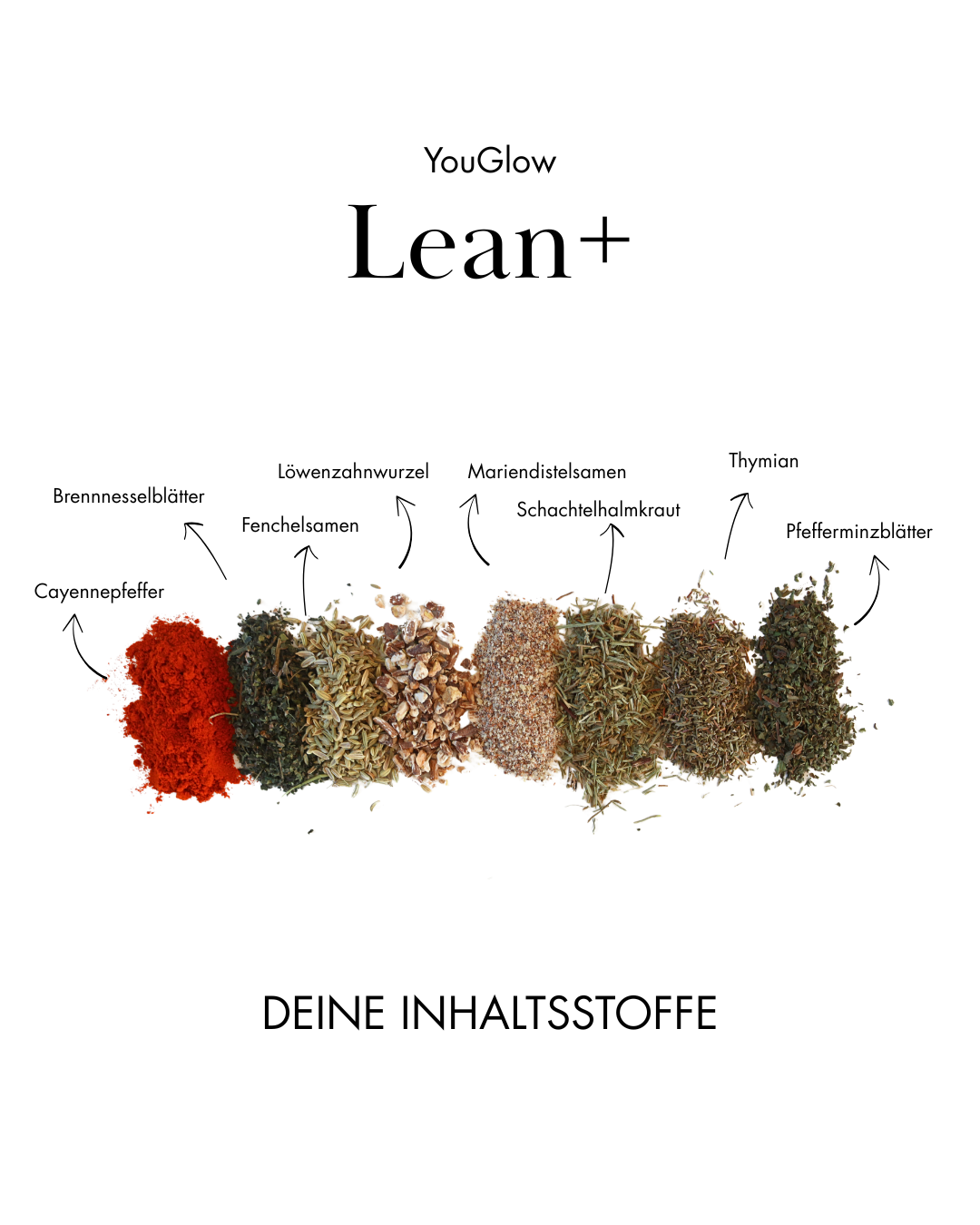 Lean+ – Bild 4